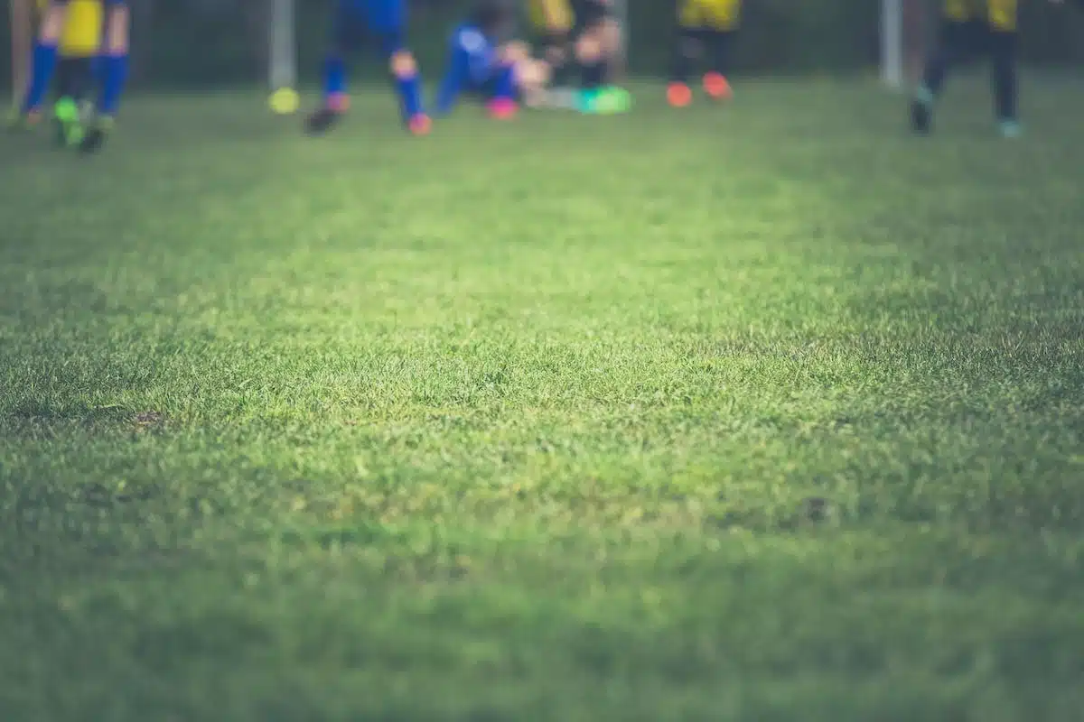 Composition d’une équipe de football avant un match : stratégies et règles