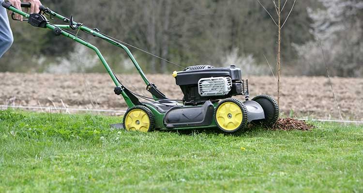 Tondre sa pelouse avec une tondeuse thermique : comment faire ?